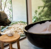 Jamala Wildlife Lodge - Accommodation 4U