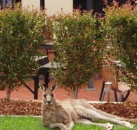 Alpha Canberra Hotel and Apartments - Accommodation 4U