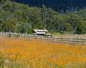 Pender Lea Alpine Guest Accommodation - Accommodation 4U 1