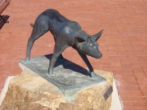 The Ardlethan Kelpie Caravan Park - Accommodation 4U 0