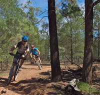 Back Yamma State Forest - Accommodation 4U