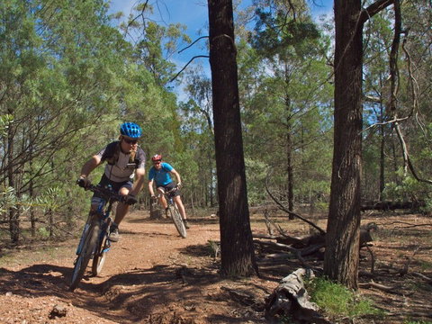 Back Yamma State Forest - Accommodation 4U 0