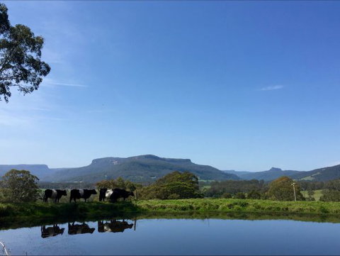 Minimbah Farm Cottages - Accommodation 4U 0