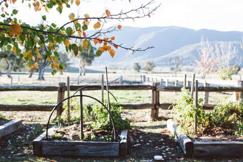 Alpine Edge Accommodation - Accommodation 4U 5