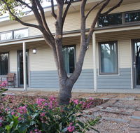 The Grape and Olive in Willunga - Accommodation 4U