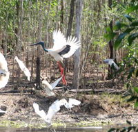 Rakhi Retreat - Accommodation 4U