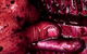 Greenock Estate Wines - thumb 1