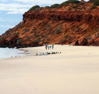Herald Bight Camp at Francois Peron National Park - Accommodation 4U