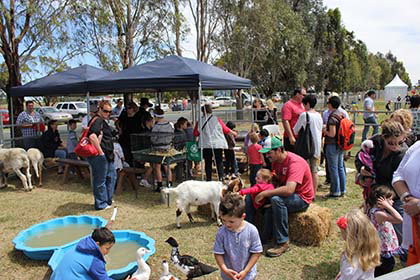 Billabong Ranch - Accommodation 4U 3