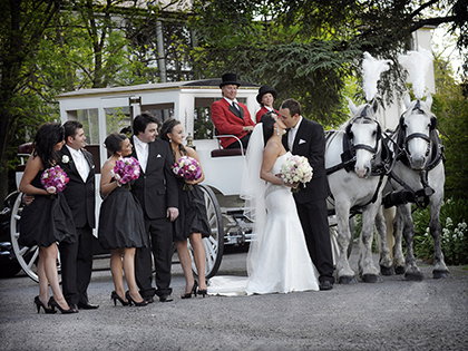 Billabong Ranch - Accommodation 4U 5