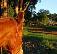Billa Billa Farm Cottages - Accommodation 4U