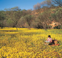 Miners Camp at Coalseam National Park - Accommodation 4U