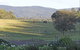 Wallaby Cottage - thumb 1