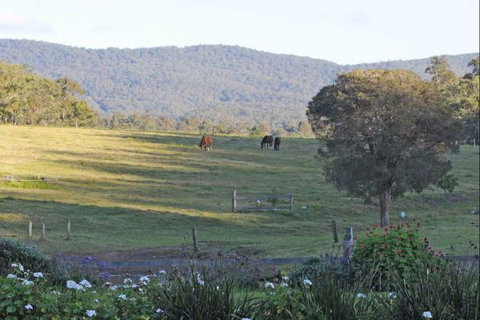 Wallaby Cottage - Accommodation 4U 1