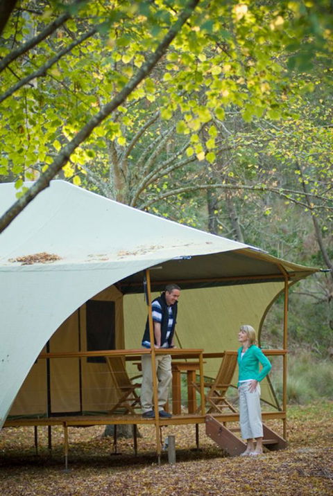 Wilderness Retreats Buchan Caves Reserve - Accommodation 4U 4