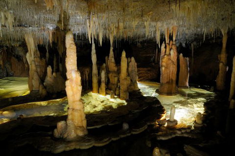 Wilderness Retreats Buchan Caves Reserve - Accommodation 4U 8
