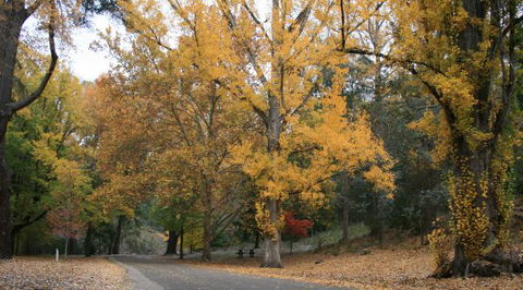 Wilderness Retreats Buchan Caves Reserve - Accommodation 4U 9