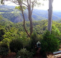 Mt Tamborine Motel - Accommodation 4U