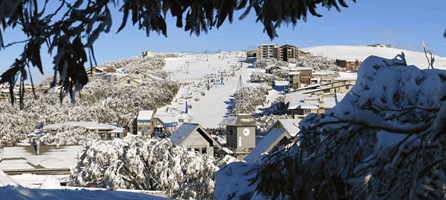 Alpine Ridge Lodge - Accommodation 4U 0