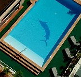 Pacific International Hotel - Accommodation 4U