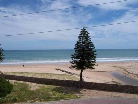 Christie's Seahorse - Accommodation 4U 1