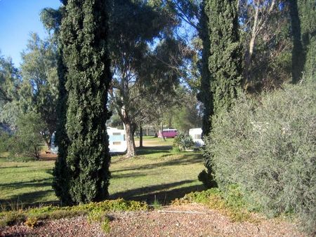 Rivers Edge Caravan Park - Accommodation 4U 1