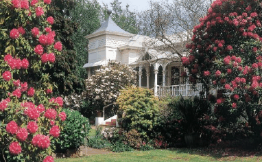 Anabel's of Scottsdale - Accommodation 4U
