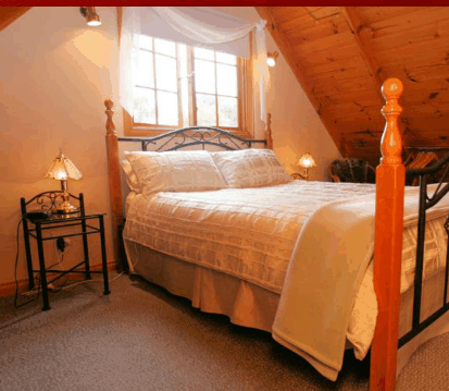 Otago Cottage - Accommodation 4U 3