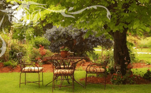 Glencoe Country Bed And Breakfast - Accommodation 4U 1