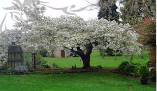 Glencoe Country Bed And Breakfast - thumb 3