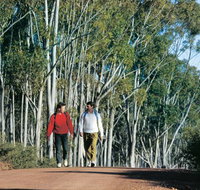 Congelin Camp at Dryandra Woodland - Accommodation 4U