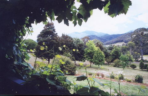 Springfield Cottage Bed & Breakfast - Accommodation 4U 1