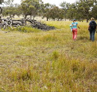 Carnarvon National Park camping - Accommodation 4U