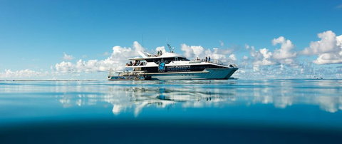 Bundaberg To Lady Musgrave Island Day Cruise - Accommodation 4U 0