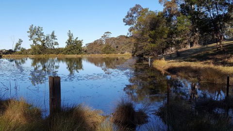 Blueberry Hills On Comleroy - Accommodation 4U 8