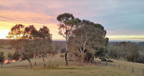Blueberry Hills On Comleroy - Accommodation 4U 9