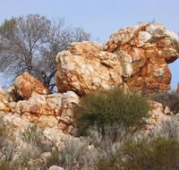 Credo Homestead Camp at Credo Conservation Park - Accommodation 4U