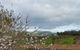 Barossavilla Guest House - thumb 9