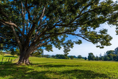 All About Me Bed And Breakfast - Accommodation 4U 8