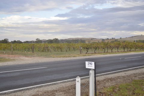 Almond Tree Cottage - Accommodation 4U 5