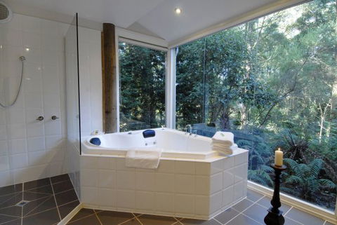 Arnica Views Summit Retreat - Accommodation 4U 5