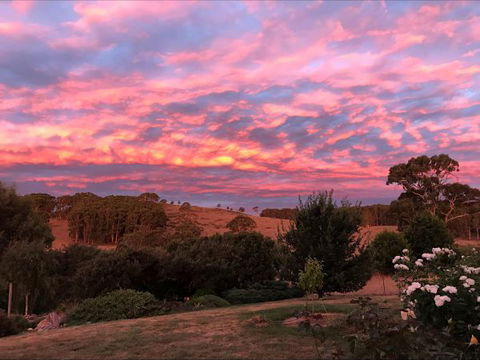 Avaleigh Elms Farmstay - Accommodation 4U 5