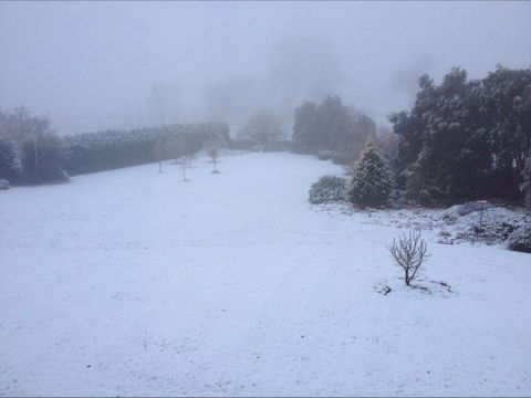 Avaleigh Elms Farmstay - Accommodation 4U 6