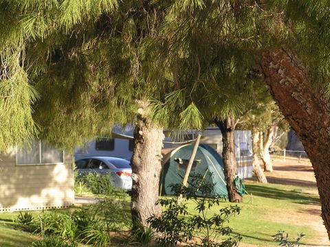 Barmera North Lake Caravan Park - Accommodation 4U 0