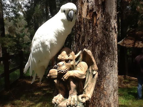 Beechworth Wildlife Stays - Accommodation 4U 9