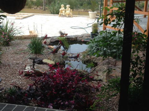 BellbirdHill Bed And Breakfast - Accommodation 4U 8