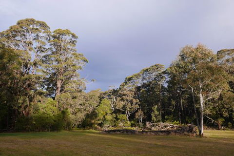 Fernhill Chestnut Farm - Accommodation 4U 2