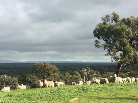 Heathcote Views Bed & Breakfast - Accommodation 4U 5