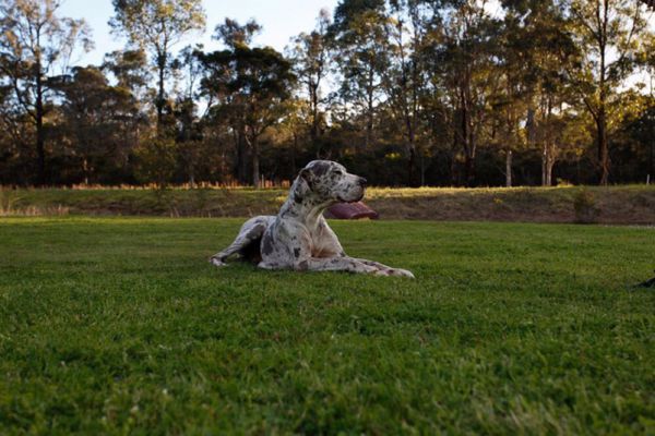 Quorrobolong NSW Accommodation 4U
