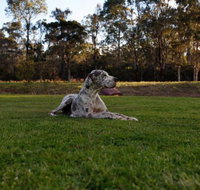 Hunter Valley Retreat - Accommodation 4U